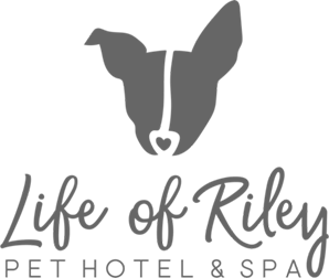 Life of Riley Pet Hotel and Spa