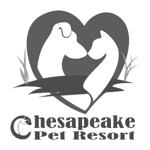 Chesapeake Pet Resort