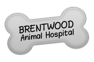 Brentwood Animal Hospital