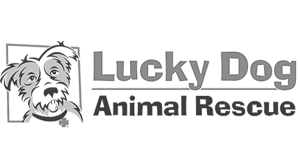 Lucky Dog Animal Rescue